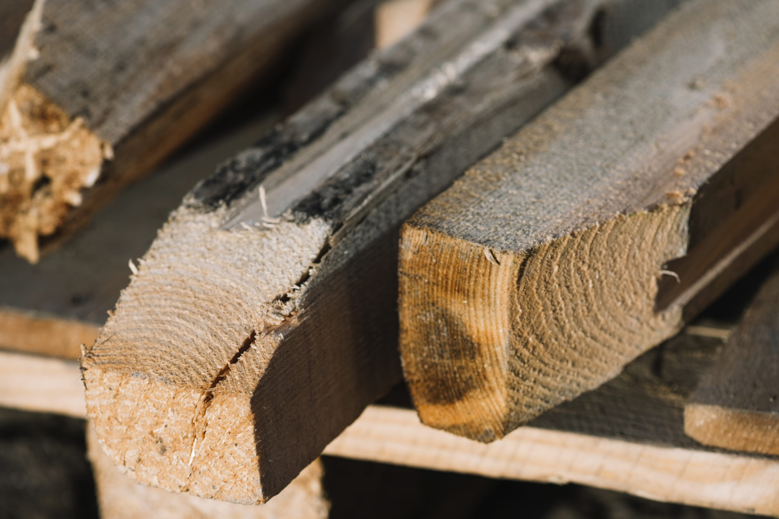 Carpentry Concept