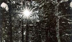 Categoria I - Manteigas - 1º Classificado - António Manuel da Silva Coelho de Lemos