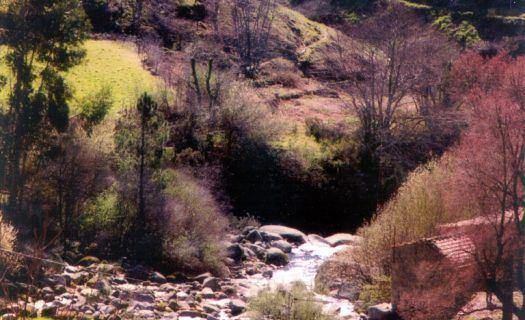 Categoria II - Água Doce - 1º Classificado - José Esteves Pereira