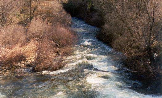 Categoria II - Água Doce - 2º Classificado - Nataniel Evangelista Cleto Lopes da Rosa