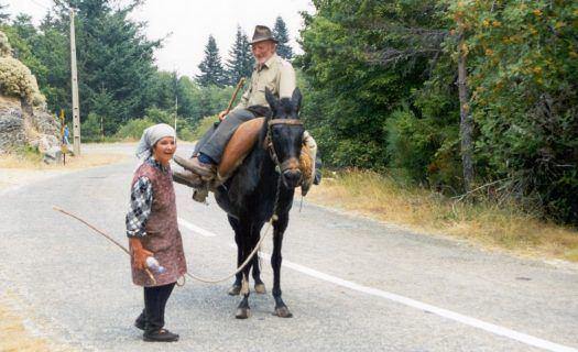 Menção Honrosa Figura Humana - Rosa Maria A. G. Lopes da Rosa