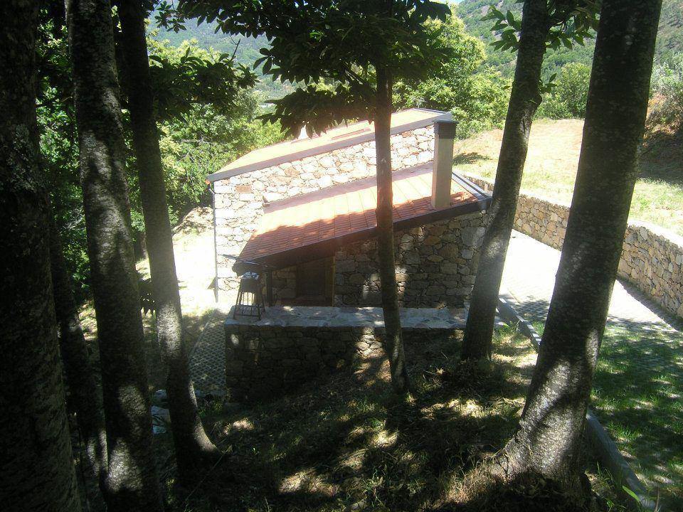 asa de pesca e caça - exterior