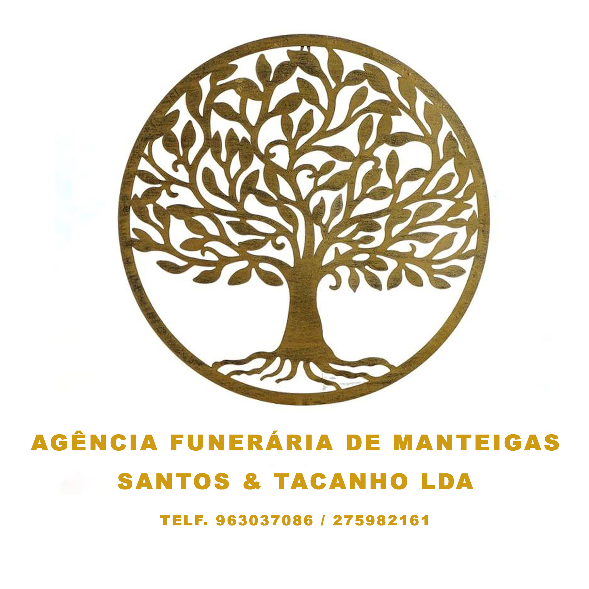 Santos E Tacanho