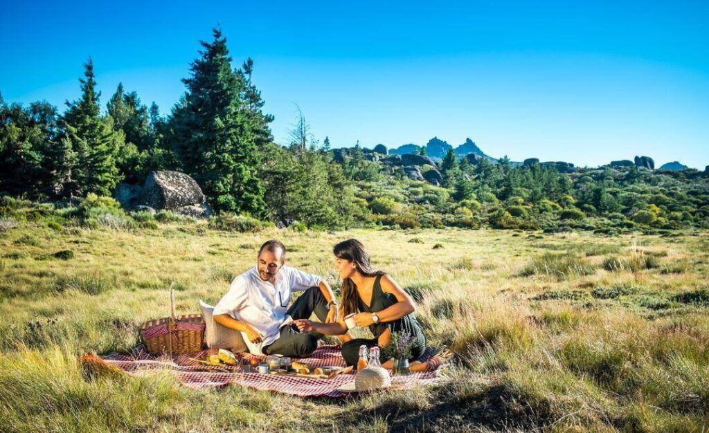14-picnic-cpd.jpg
