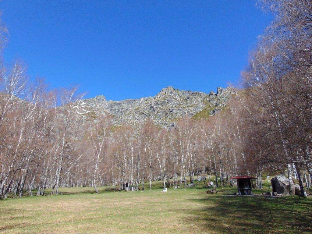Covao-da-ametade.jpg
