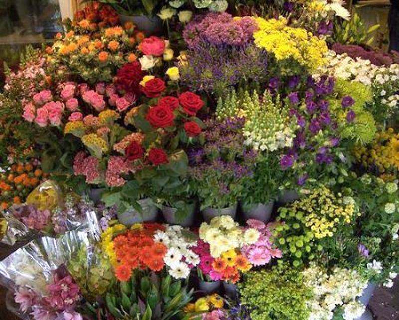Florista-1.jpg