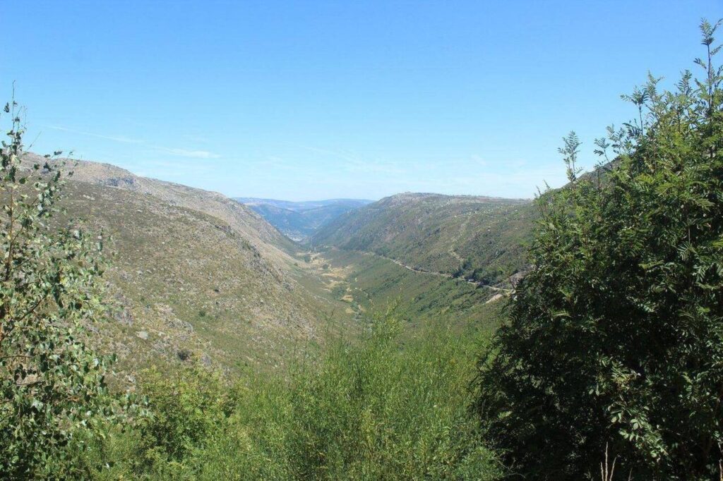 panoramica-vale-glaciar.jpg