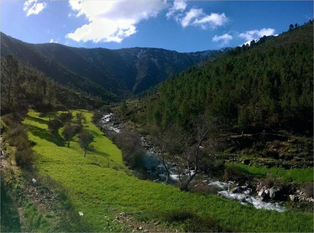 parque.jpg