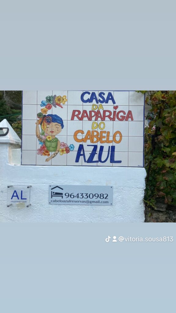 Casa Da Rapariga Do Cabelo Azul (11)