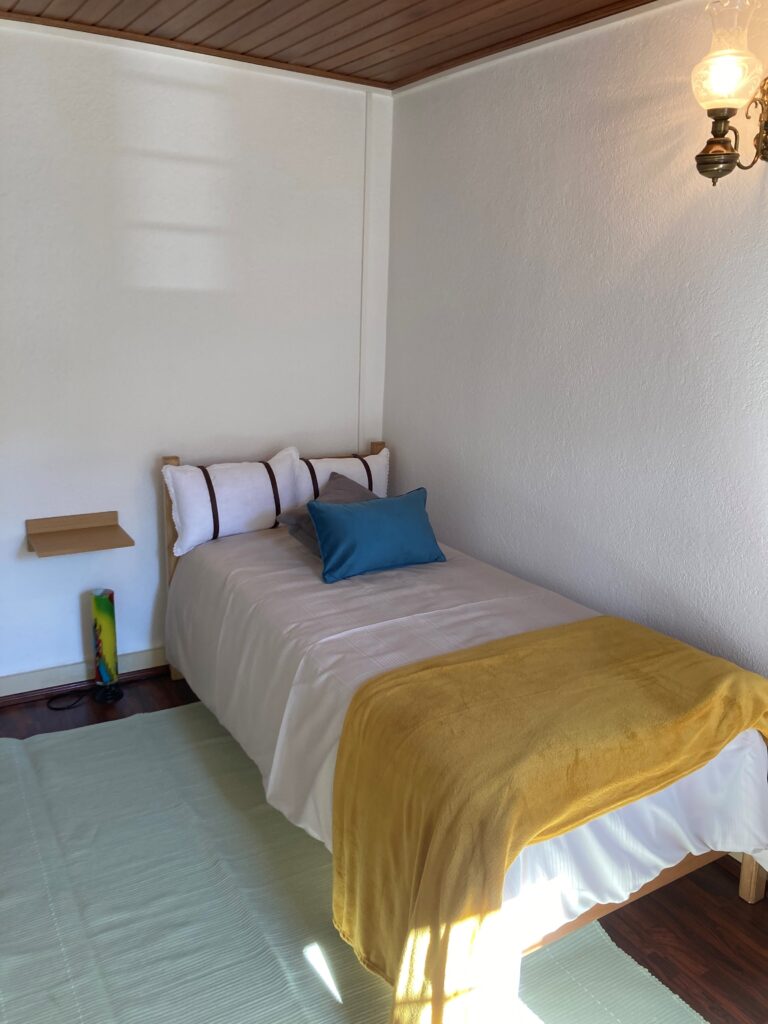 Casa Da Rapariga Do Cabelo Azul (6)