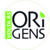 Volta às Origens