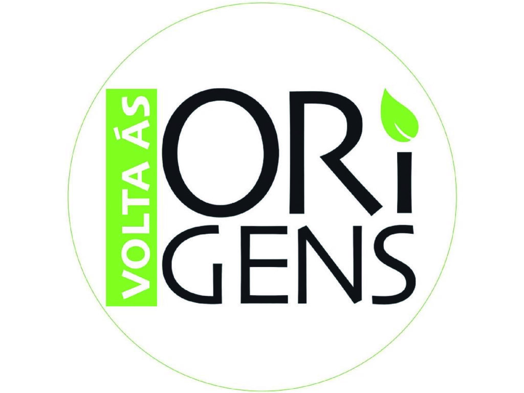 Volta às Origens