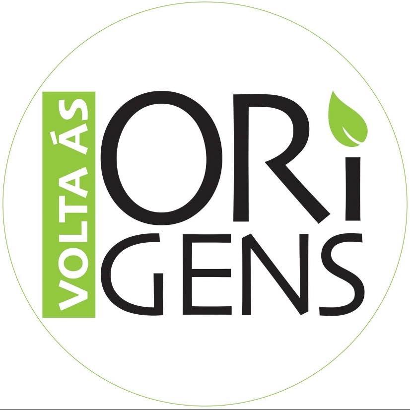 Volta às Origens